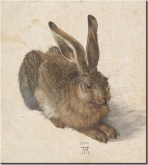 Albrecht Dürer - Feldhase - Leinwandbild