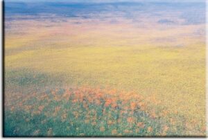 Herrliches blumiges  Leinwandbild - Der Frühling-50 x 70 cm