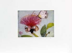 Jutta Votteler - Naschender Schmetterling - Original Farb-Radierung - limitiert ...