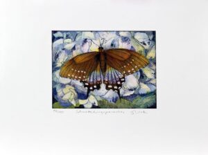 Jutta Votteler - Schmetterlingsparadies - Original Farb-Radierung - limitiert un...