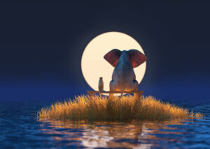 Modernes Leinwandbild - Beste Freunde - Elefant und Hund im Mondschein