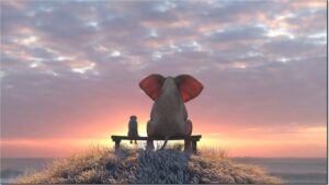 Modernes Leinwandbild - Beste Freunde - Elefant und Hund im Sonnenaufgang