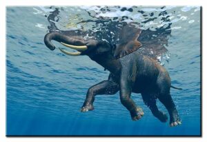 Modernes Leinwandbild - Jumbo Bubbles 2 - Elephant under water-100 x 150 cm