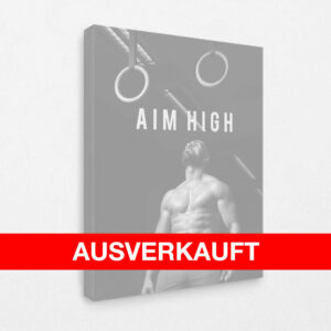 Aim High 120 x 80 cm