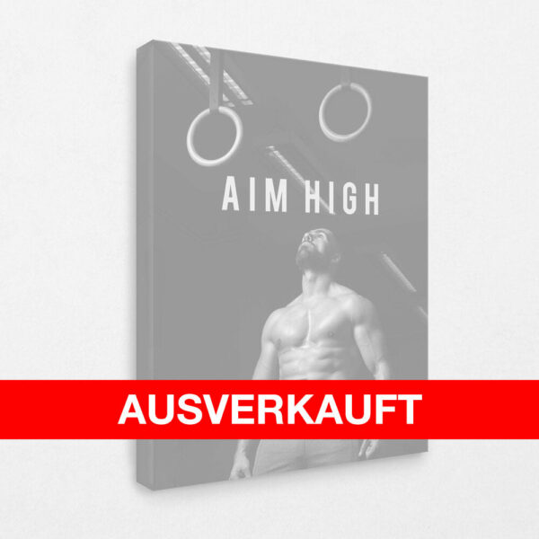 Aim High 120 x 80 cm
