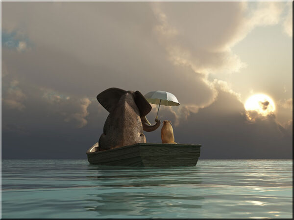 Modernes Leinwandbild - Beste Freunde - Elefant und Hund auf dem Wasser