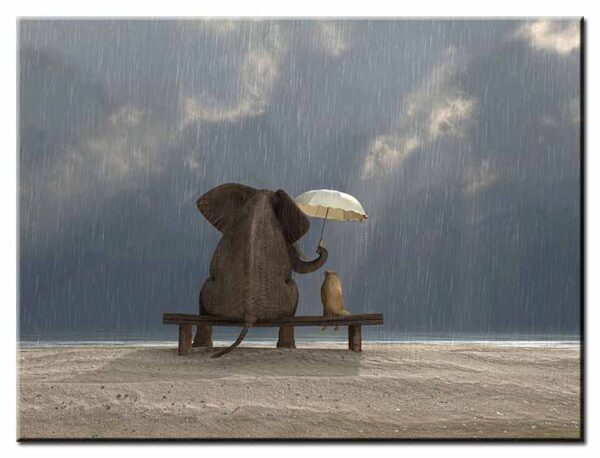 Modernes Leinwandbild - Beste Freunde - Elefant & Hund - Zusammen durch Wind und...