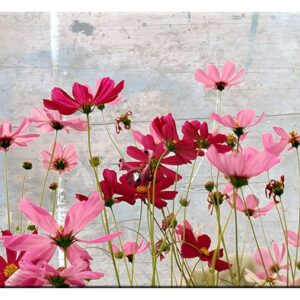 Modernes Leinwandbild - Flower Dream-70 x 100 cm