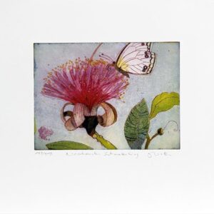 Jutta Votteler - Naschender Schmetterling - Original Farb-Radierung - limitiert ...