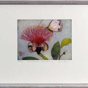 Jutta Votteler - Naschender Schmetterling - Original Farb-Radierung - limitiert ...