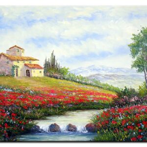 Totti Moreno - Landhaus mit Mohnwiese-50 x 70 cm