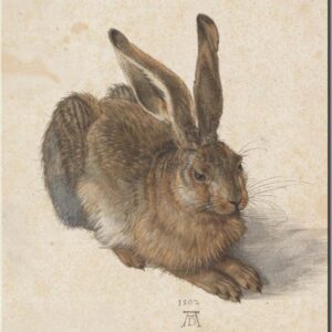 Albrecht Dürer - Feldhase - Leinwandbild