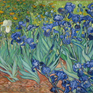 Vincent van Gogh - IRISES - Leinwandbild