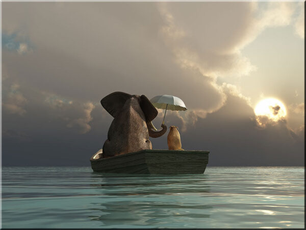 Modernes Leinwandbild - Beste Freunde - Elefant und Hund auf dem Wasser