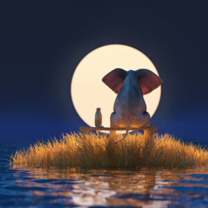 Modernes Leinwandbild - Beste Freunde - Elefant und Hund im Mondschein