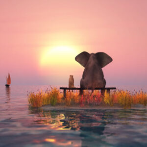 Modernes Leinwandbild - Beste Freunde - Elefant und Hund bei Sonnenuntergang auf...