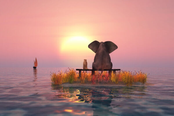Modernes Leinwandbild - Beste Freunde - Elefant und Hund bei Sonnenuntergang auf...