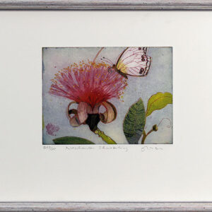 Jutta Votteler - Naschender Schmetterling - Original Farb-Radierung - limitiert ...