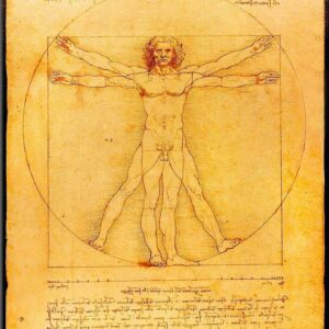 Leonardo da Vinci - Vitruvianischer Mensch-50 x 70 cm