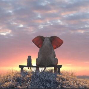 Modernes Leinwandbild - Beste Freunde - Elefant und Hund im Sonnenaufgang