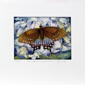Jutta Votteler - Schmetterlingsparadies - Original Farb-Radierung - limitiert un...